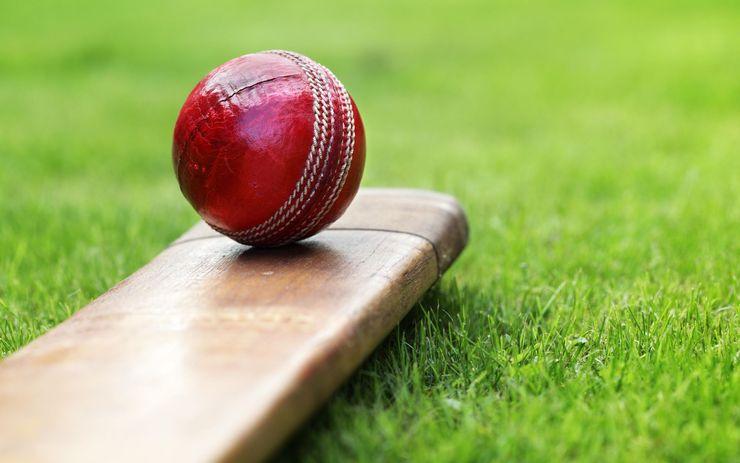 All your need to know about the fantasy cricket games